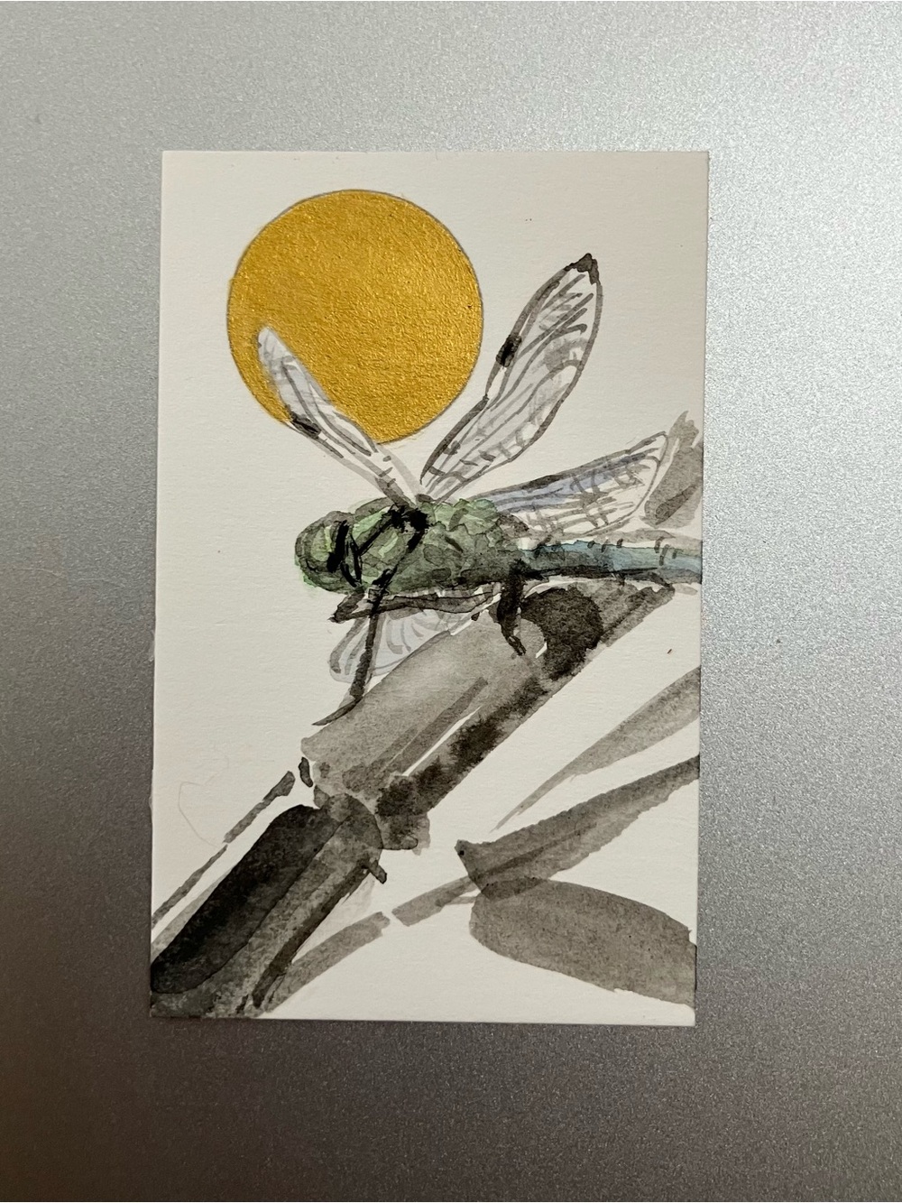 Original green dragonfly painting miniature realism art sumi-e style gift USA